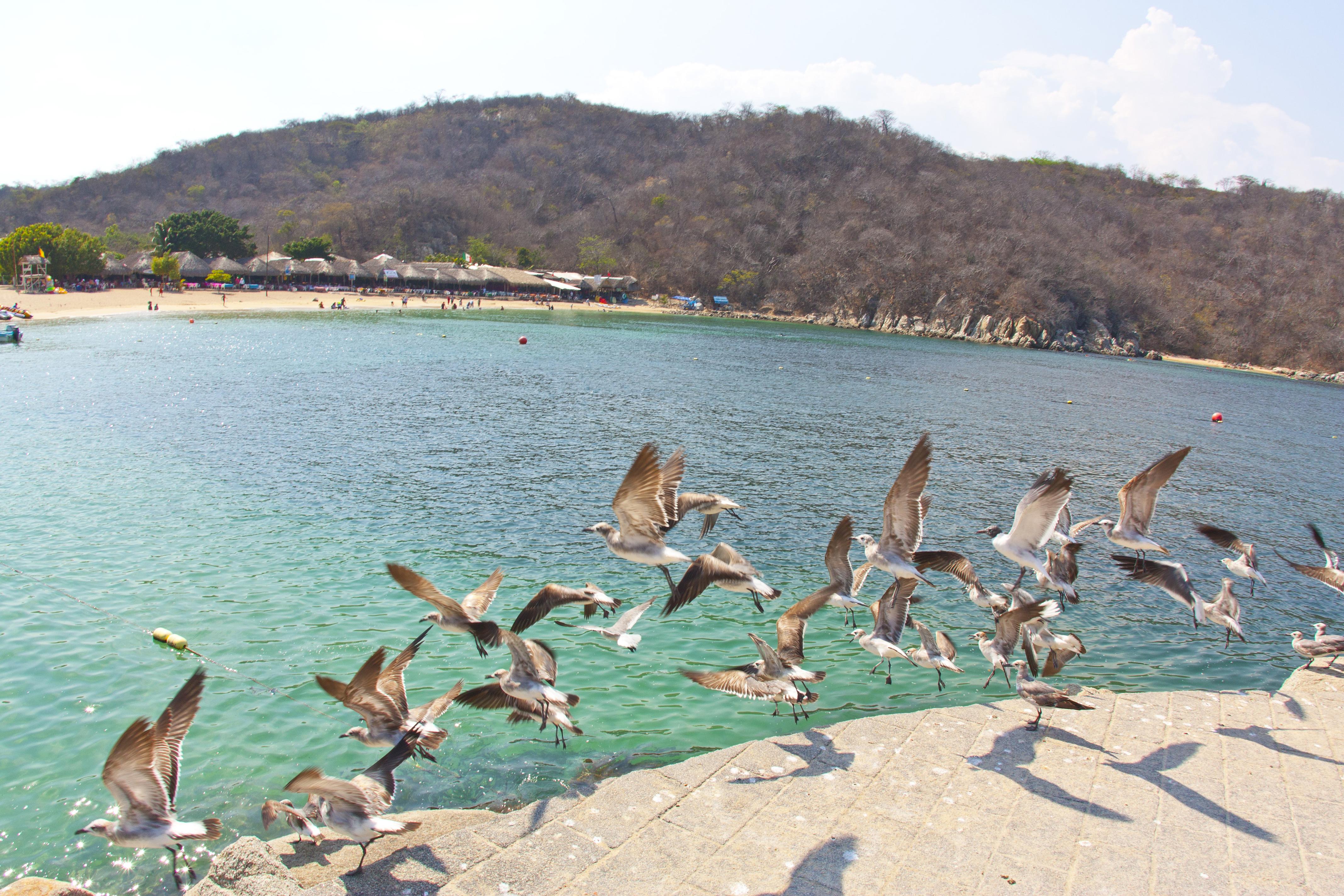 Villa Blanca Huatulco Санта-Крус-Хуатулко Экстерьер фото